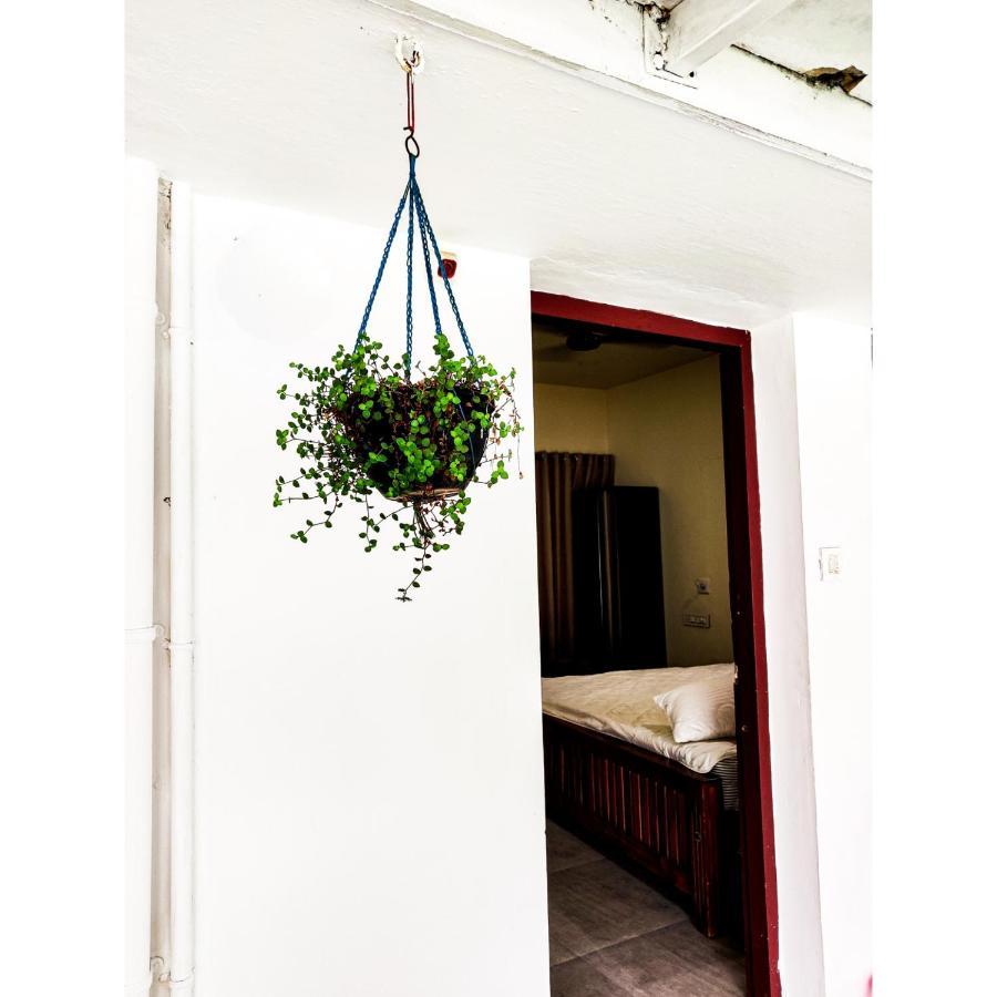 Nature Villa Kochi Alwaye 외부 사진